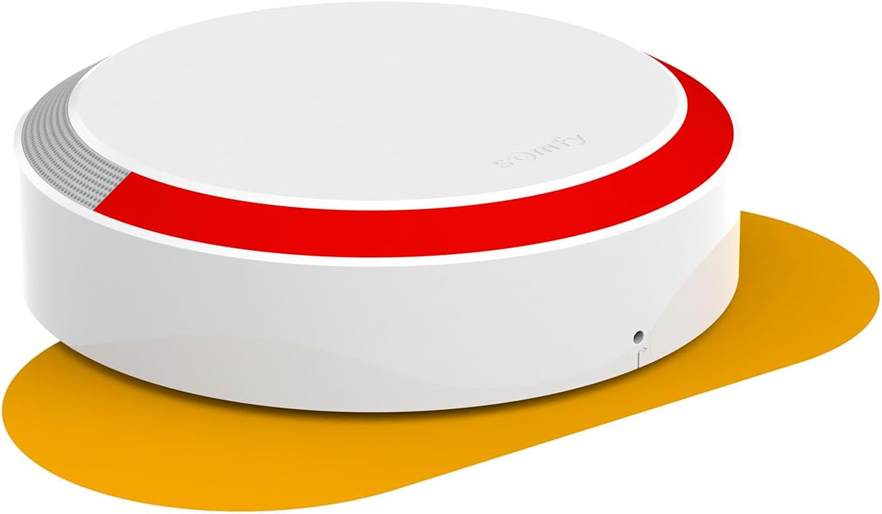 2401491 - Sirène Extérieure Somfy Protect - Compatible gammes Home Alarm et Somfy One - 112dB & – Systèmes sécurité pour la maison