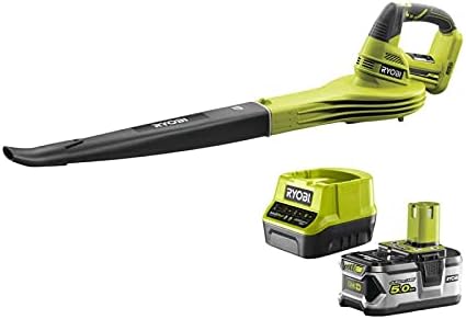 Batterie RYOBI 18V One+ 5.0Ah LithiumPlus - chargeur rapide 2.0Ah RC18120-150: – RYOBI, Vert/Noir